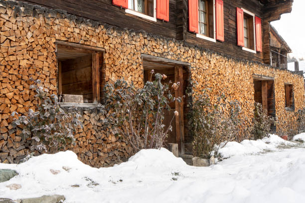 istock firewood stacked on the outside 1449427110
