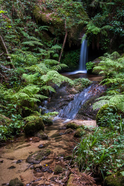 istock a little waterfall in nature in a wood 1449428334
