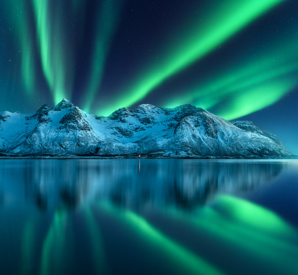 Northern lights over the snowy mountains, sea coast, reflection in water at night in Lofoten, Norway. Aurora borealis and snow covered rocks. Winter landscape with polar lights and fjord. Starry sky