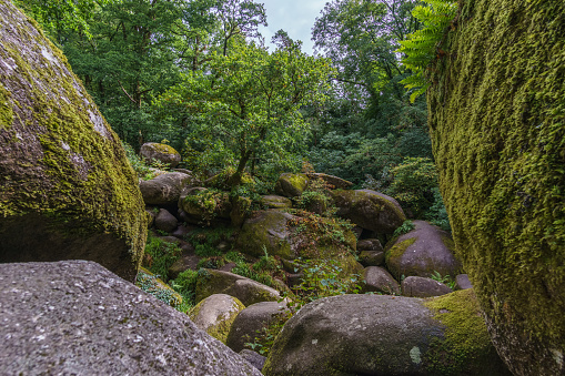 Fairy tale forest with magical moss grown rocks, Huelgoat, Brittany, France