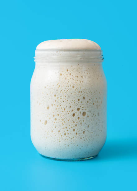 Sourdough starter in a jar, isolated on a blue background