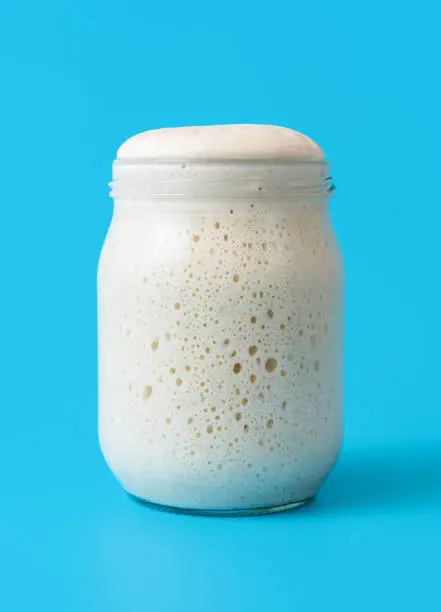 Glass jar full of sourdough starter, minimalist on a blue background. Fermented sourdough starter ready for baking