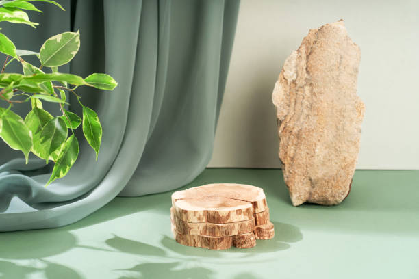 istock Composition empty podium material tree stone dry flowers. Beautiful green background made of natural materials for product presentation. 1449436790