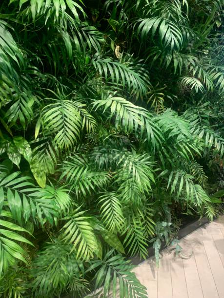 istock Interior living wall with plants 1449438253