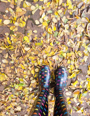 Autumn Leaves with rubber boot