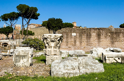 Views and sightseeings of Rome: the Roman Forum. Slow motion video, can be doubled for real time.