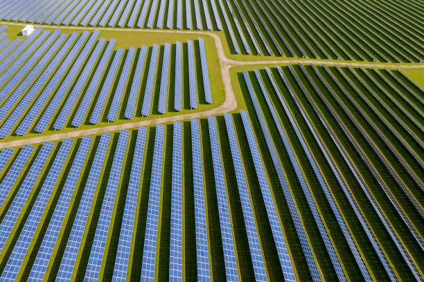 istock Rows of Blue Solar Panels, Aerial View 1449450047