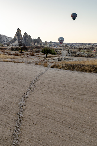 Goreme, Turkey - November 12, 2017: Hot air balloons flying at sunrise as a great tourist attraction of spectacular Cappadocia. Track through field