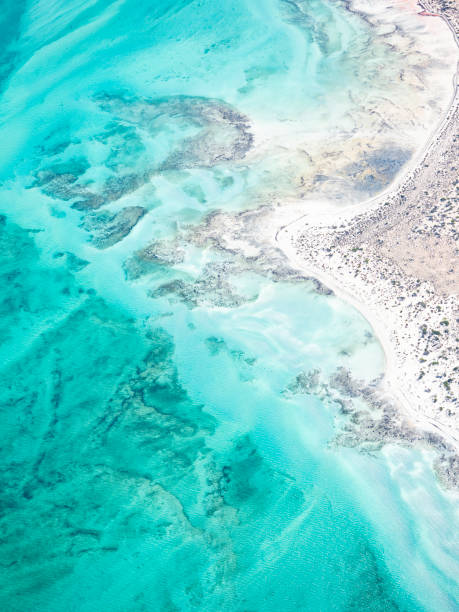 istock Abstract aerial of coastline 1449451865