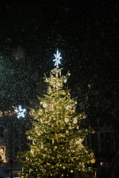 Christmas Tree in Snow in London