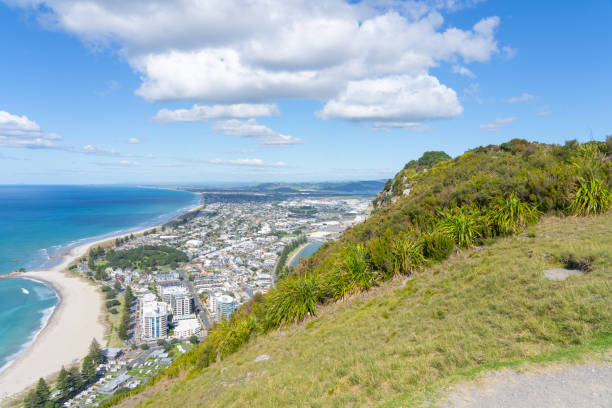 istock View along coastline from summit of Mount Maunganui 1449461809