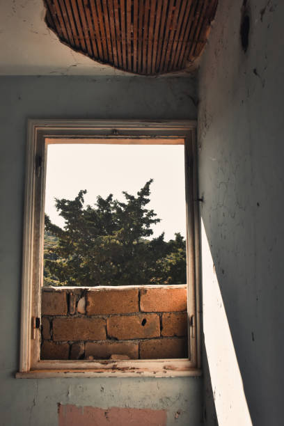 istock View from window overlooking demolished window, bricks and tree in an abandoned house. 1449472823