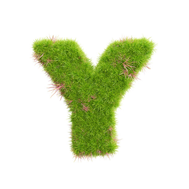 istock 3d rendering of grass letters alphabet,the word y. 1449475906