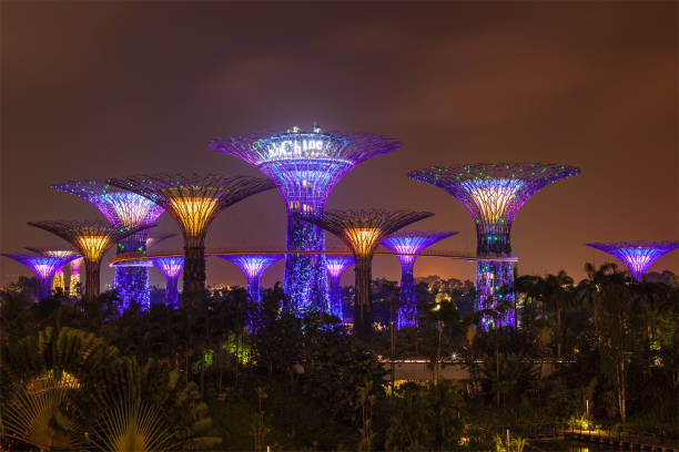 garden by the bay vue futuriste de nuit, singapour - gardens by the bay photos et images de collection