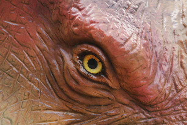 istock The dinosaur eye pupil close up yellow eyes. 1449482505