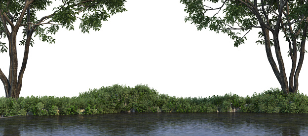3d render Forest foreground on a white background