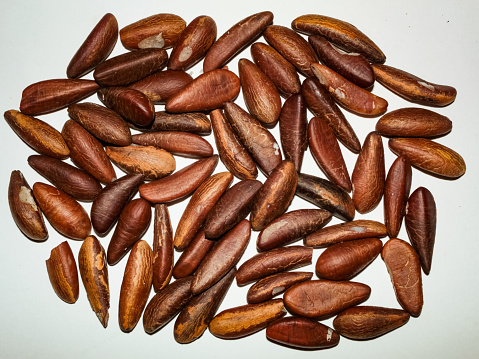 Several almonds from the fruit of the babassu palm, on a white surface