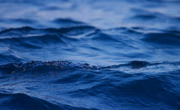 istock Dark blue ocean wave closeup. Sea wave. 1449496387