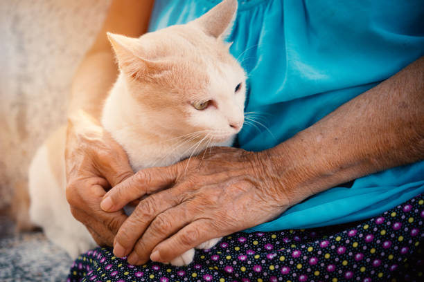 istock Asia Elderly woman with a cat on her 1449496780