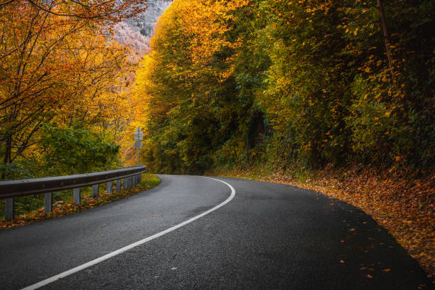 istock Highway in the mountains on an autumn day. 1449500212