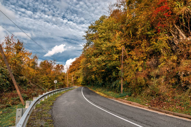 istock Yellow-orange foliage on trees near the highway. 1449501268