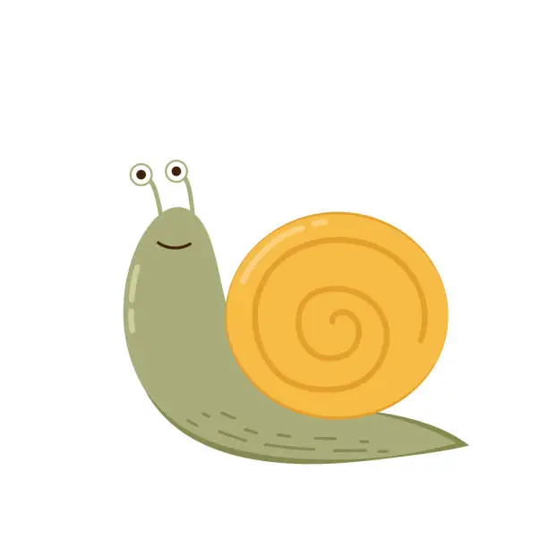 Vector illustration of Snail vector. Snail on white background. Snail cartoon vector.