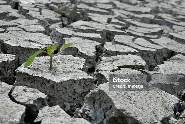 Esperança - Fotografias de stock e mais imagens de Acidente Natural - Acidente Natural, Acidentes e Desastres, Alterações climáticas