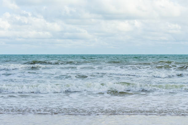 istock Sea waves are splashing on the shore. 1449504473