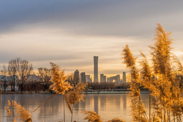 reed green city beijing cbd buildings in the evening - north pier imagens e fotografias de stock