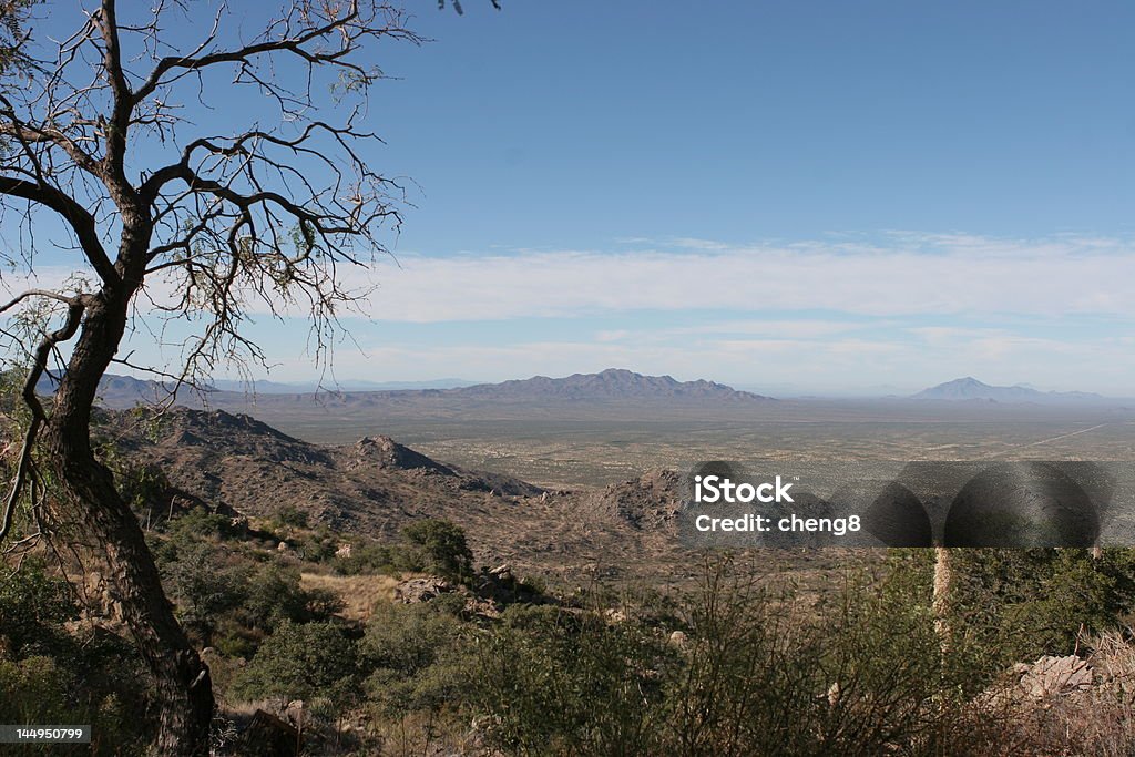 Sonoran Desert nahe Tucson, Arizona, das Sie von Kitt Peak - Lizenzfrei Amerikanische Kontinente und Regionen Stock-Foto