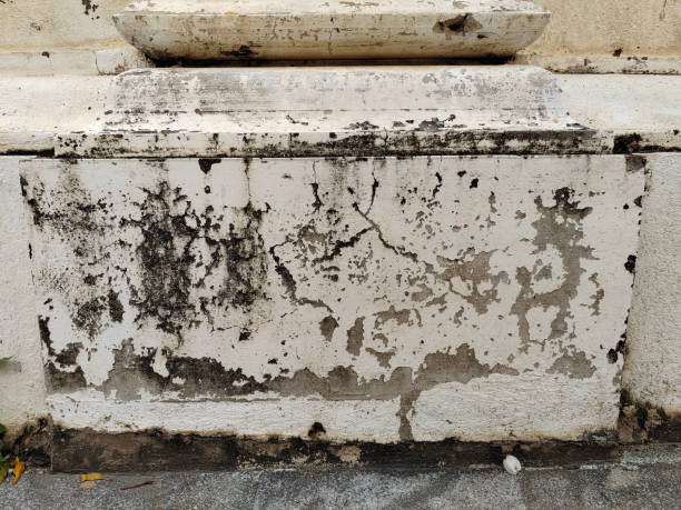 istock White wall are damaged by water causing mold, lichen and paint peeling 1449510178