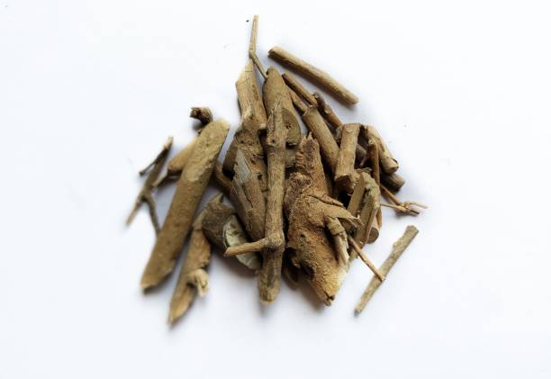 istock Organic Ashwagandha (Withania somnifera) roots. 1449510247