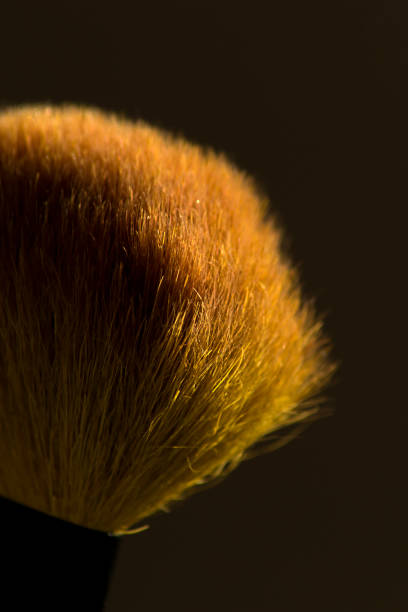 Makeup brush with natural bristles on a dark background in backlight