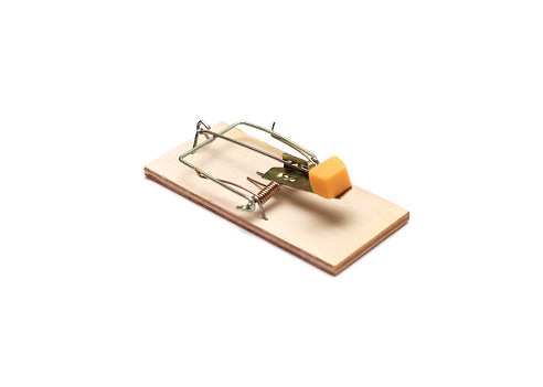 Closeup of a generic mouse trap with a piece of cheese on a white background.