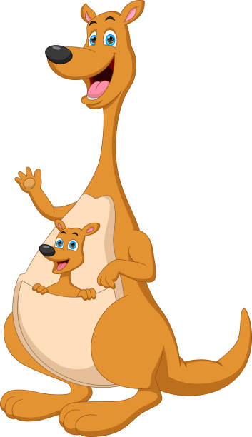 ilustraciones, imágenes clip art, dibujos animados e iconos de stock de madre canguro con su caricatura de bebé - young animal mother kangaroo family