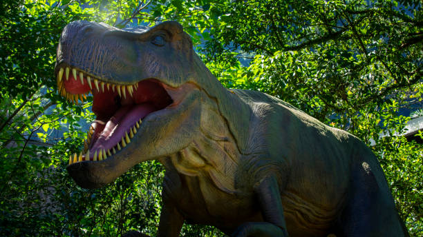 istock Dinosaurs, Dinosaur Exhibition, Electric Model Dinosaurs, Simulated Dinosaurs, Dinosaur Amusement Park, 1449512598