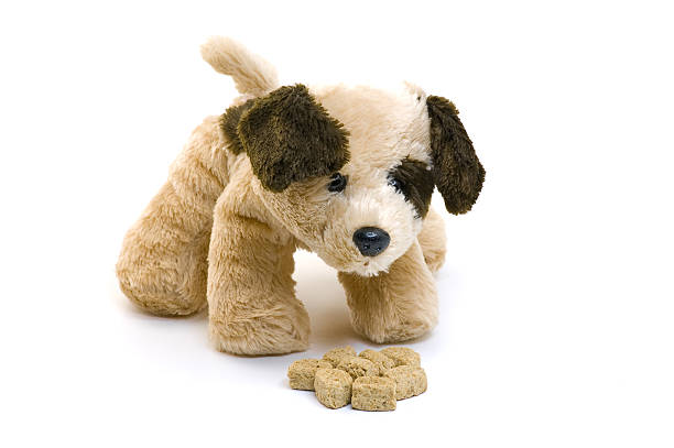 istock Toy puppy eating 144951266