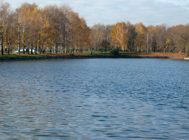 istock autumn in city park 1449513629