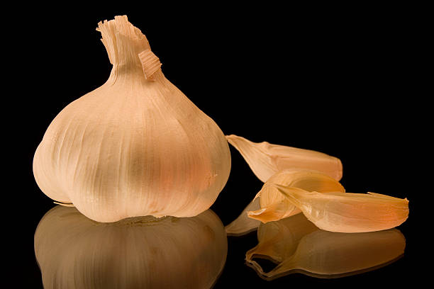 Garlic stock photo