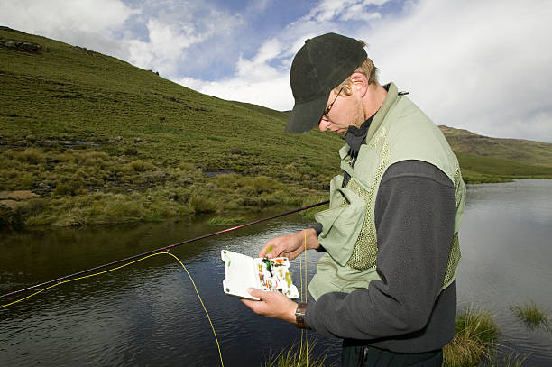 forelle fisherman - bull trout stock-fotos und bilder