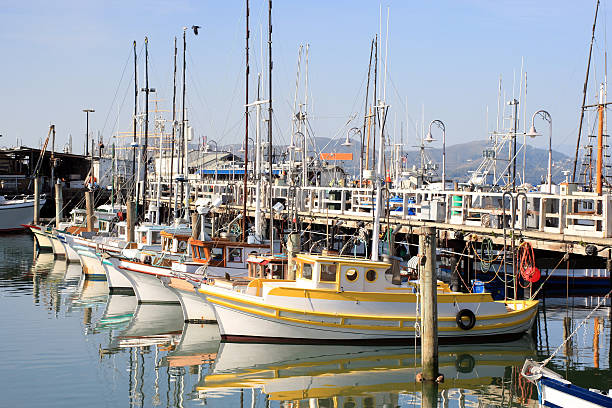 Fisherman's Wharf Marina (San Francisco) Beautiful boats of all colors fill a marina on Fisherman's Wharf in San Francisco, California. fishermans wharf stock pictures, royalty-free photos & images