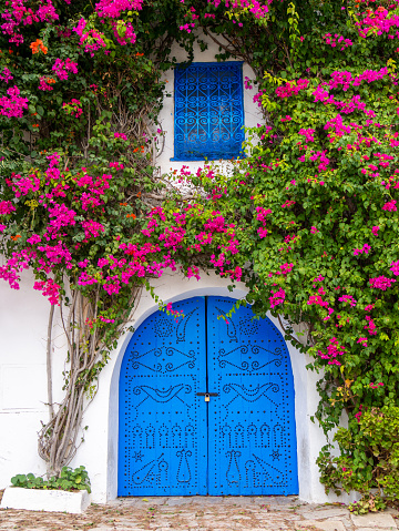 The Doors and Gates of Tunisia - Blue door in Sidi Bou Saïd overgrown with vegetation and flowers