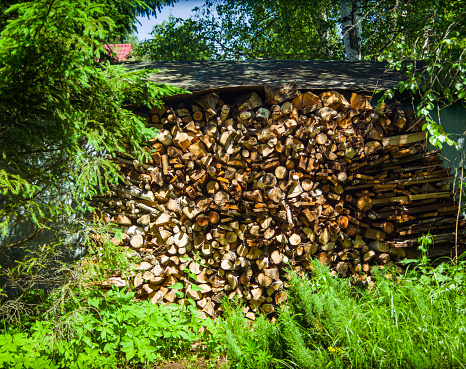 firewood stacked in reserve in summer, outdoor sunny day shot