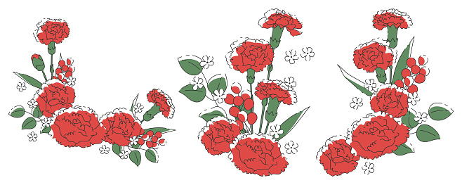 Mother's Day red carnation material set