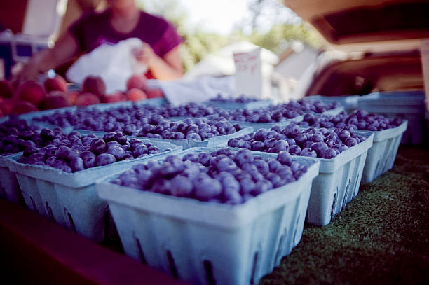 blueberries blue berries in baskets at the farmers market michigan farmland stock pictures, royalty-free photos & images
