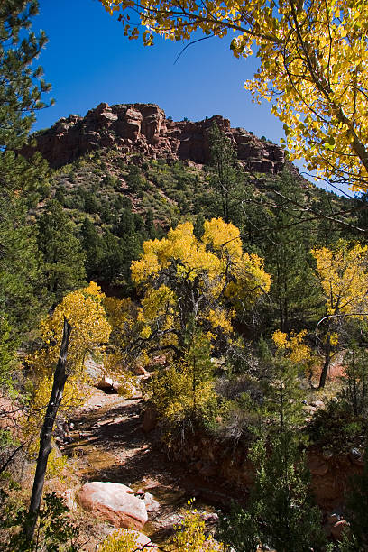 istock Yellow Trees adn Hill in Zion National Park 144952735
