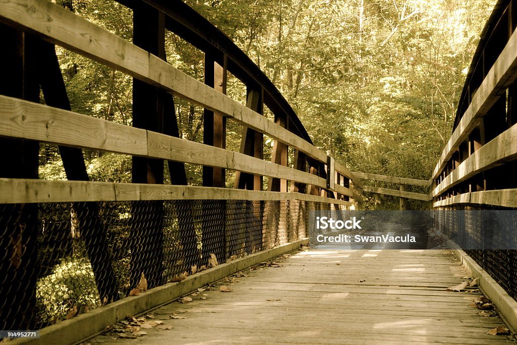 Jacobsburg Brücke - Lizenzfrei Altertümlich Stock-Foto