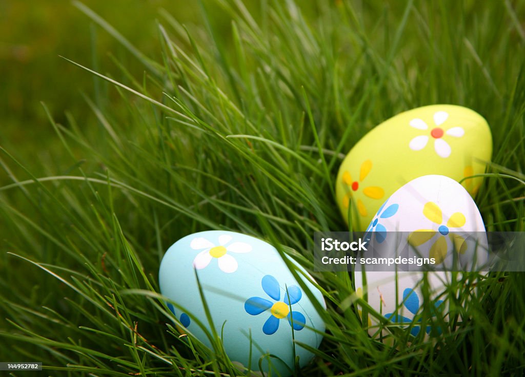 Painted Easter Eggs hidden in the grass Painted Colorful Easter Eggs in Grass Adolescence Stock Photo