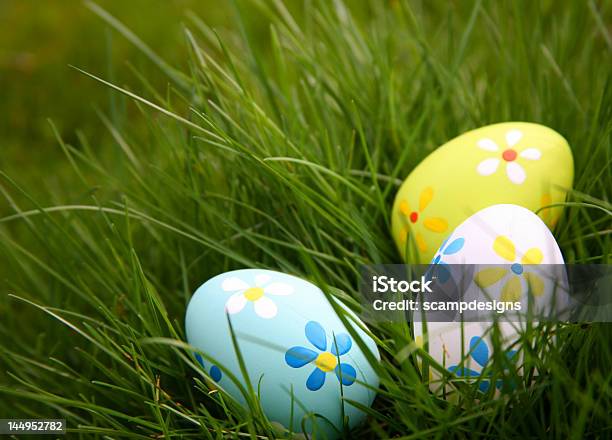 Painted Easter Eggs Hidden In The Grass Stock Photo - Download Image Now - Adolescence, Blue, Celebration