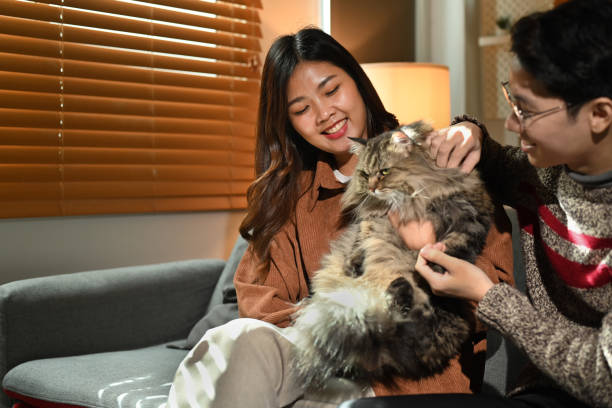 istock Young couple bonding, playing with cat while resting on couch and spending time together at cozy home. 1449528747